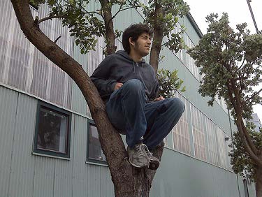 A young man sitting in a tree outside a building