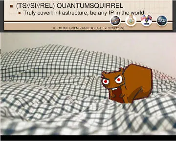 A slide titled (TS//SI//REL) QUANTUMSQUIRREL featuring a cartoon squirrel on a grid background