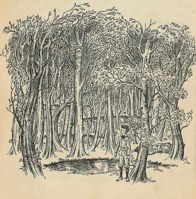 Illustration of a boy standing in a dense forest near a small pool of water