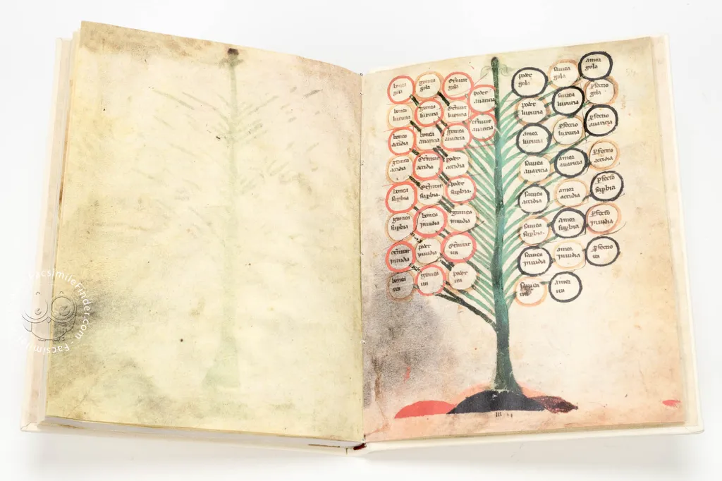 A medieval manuscript page showing a tree diagram with circular labels on its branches