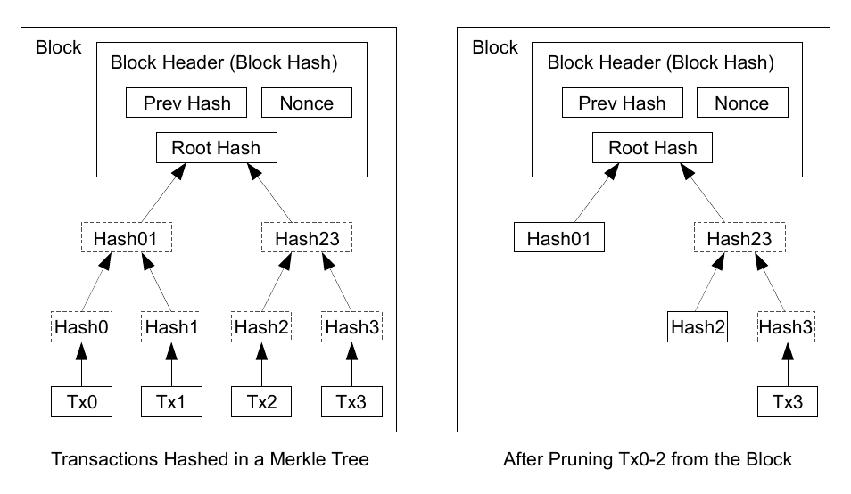 Diagram showing the structure of a Merkle Tree in a block and how it is pruned