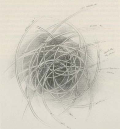 A dense, circular scribble or sketch of overlapping lines and loops.